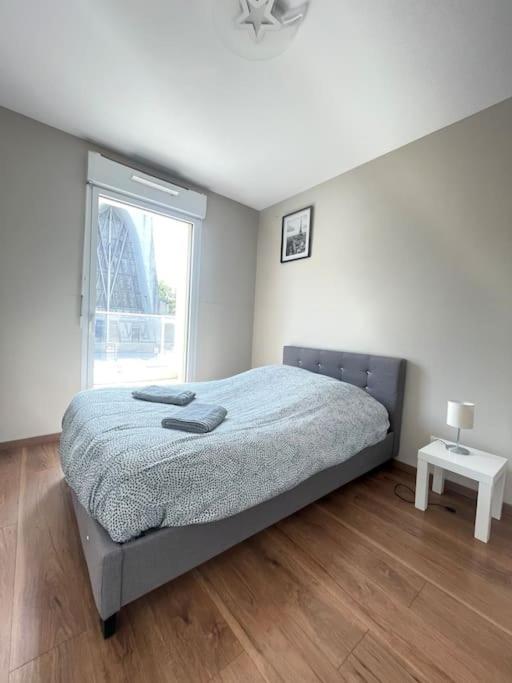 Vigneulle - 3 - 6p - Grand Balcon - Proche Gare Apartment Metz